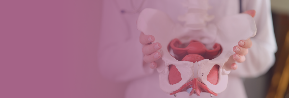MedGyn Pessaries: Types, Uses, and Indications for Pelvic Floor Health