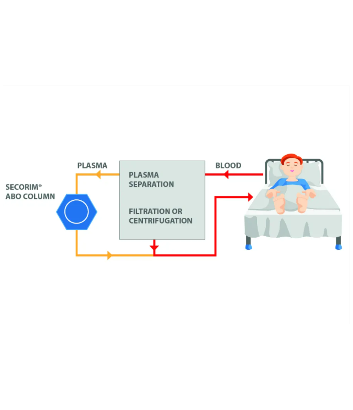 VitroSorb SECORIM® ABO